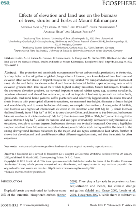Pdf - Document (600x776), Png Download