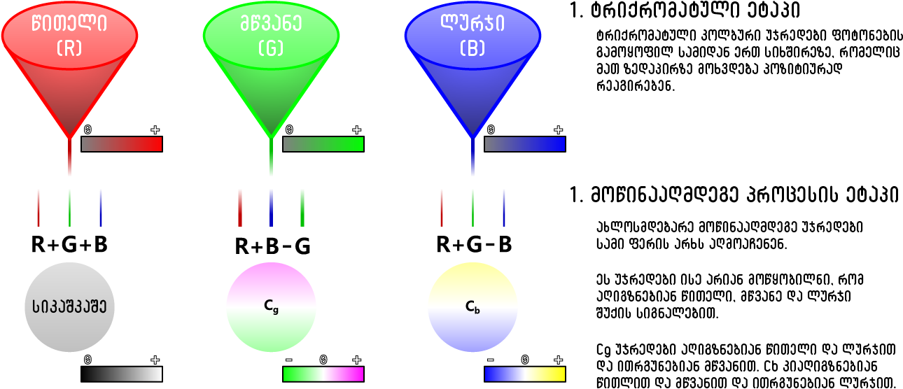 Modern Color Vision Model -ka - Rgb And Not Ryb (1300x587), Png Download
