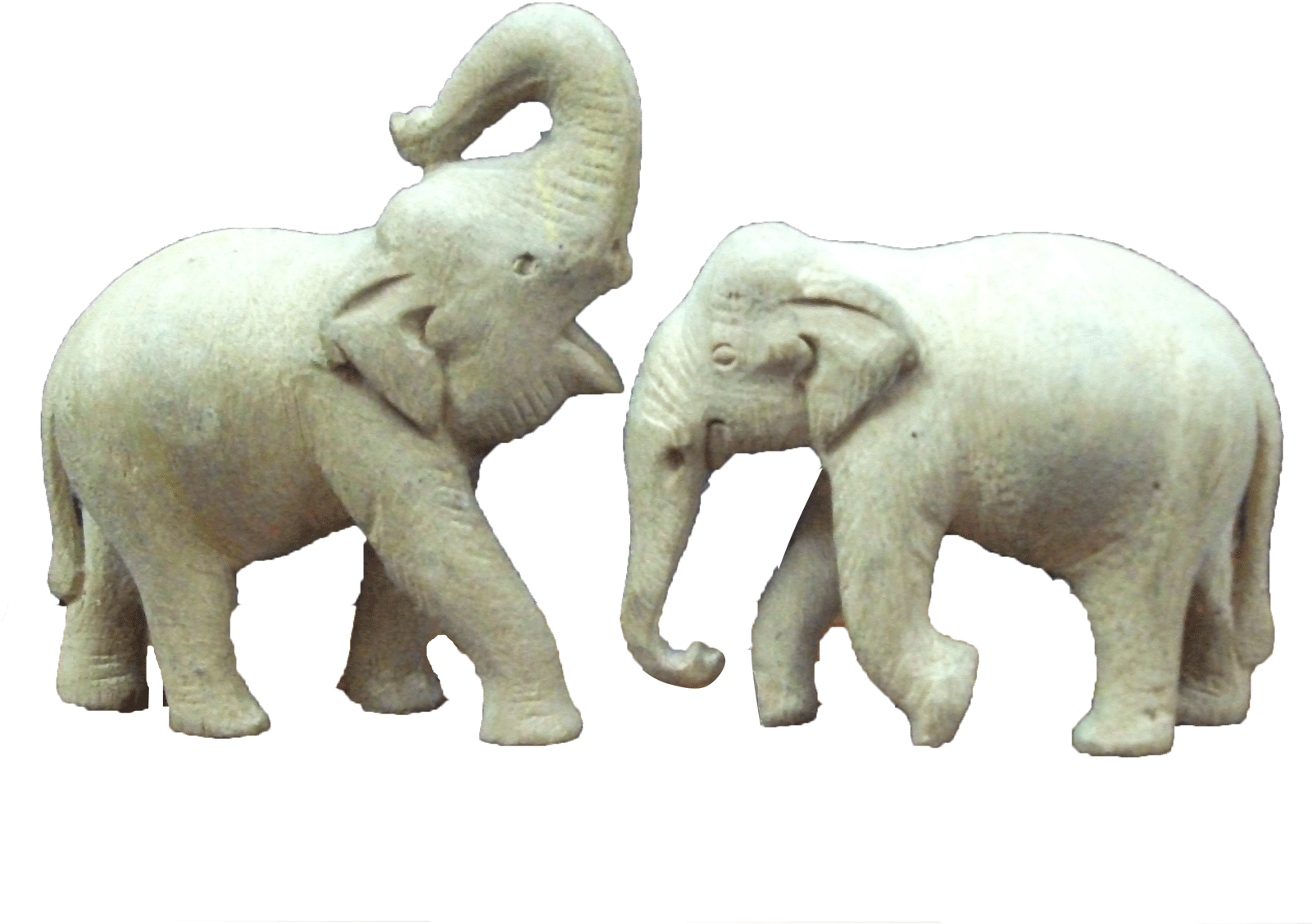 Untitled-1 - Indian Elephant (1600x1600), Png Download