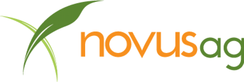 Cropped Eps Version Of Novus Logo - Tan (980x331), Png Download