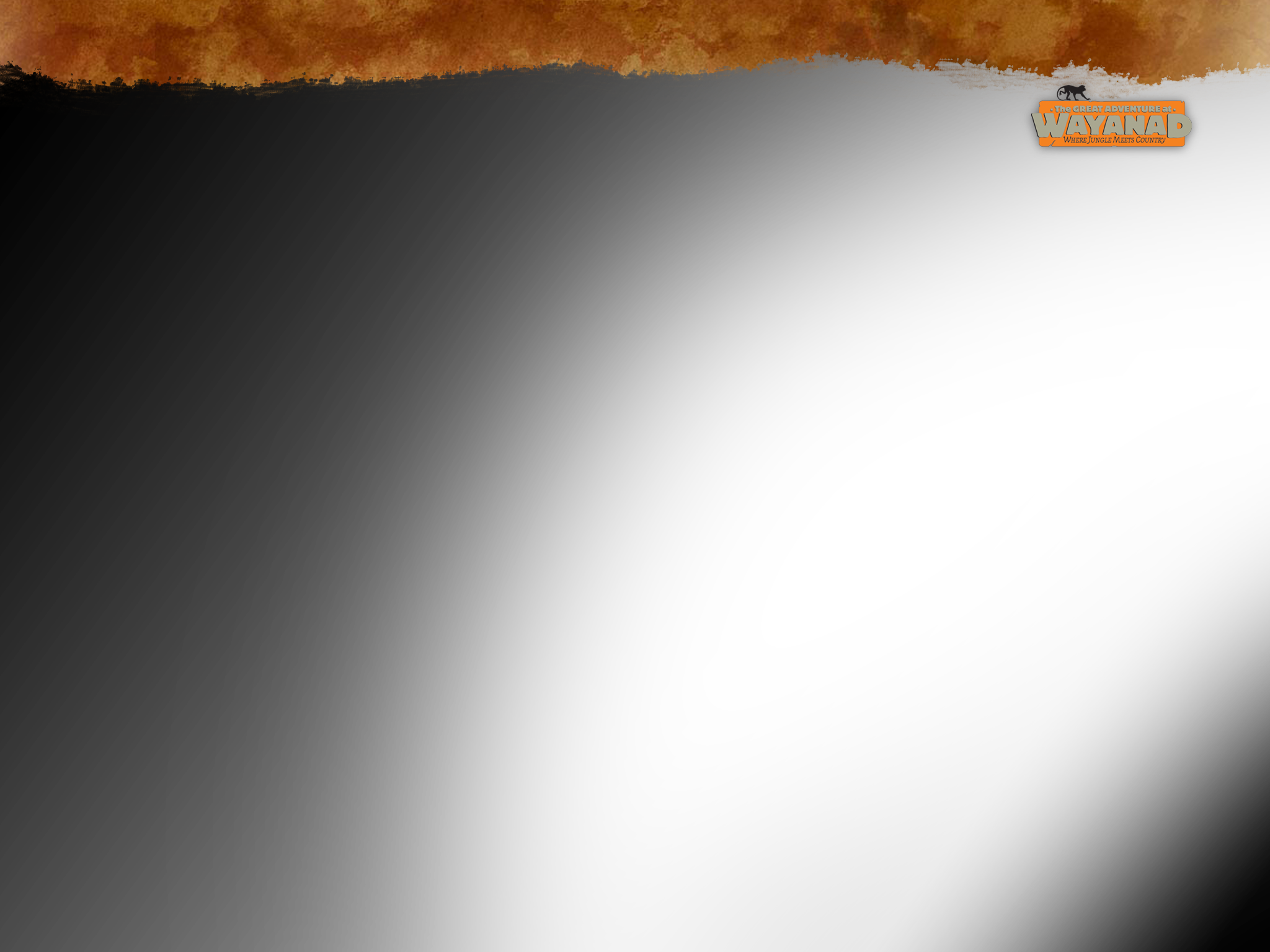 We Usually Arrange The Campfire Along With Back Ground - Amber (2048x1536), Png Download