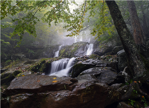 Dark Hollow Falls Of Shenandoah National Park In Virginia (600x600), Png Download