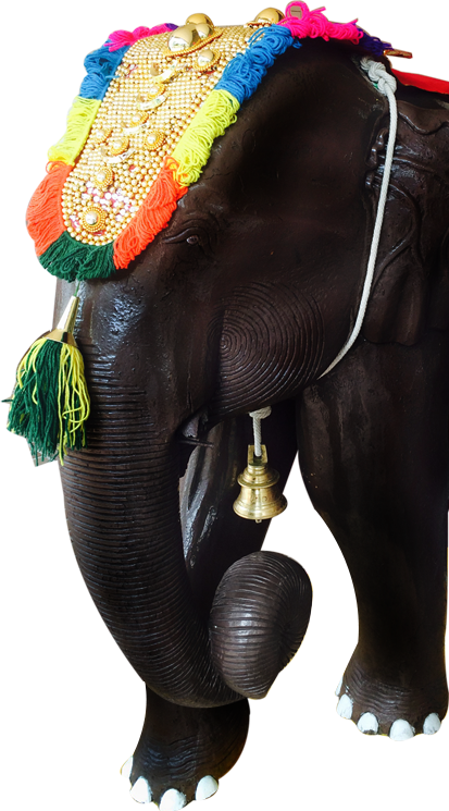 2019 Omar Shariff - Indian Elephant (413x745), Png Download