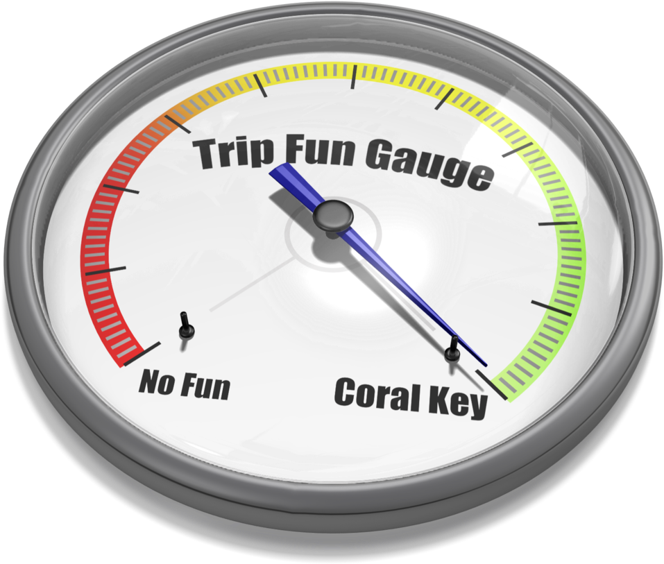 Gauge Needle Max 18448 (1000x862), Png Download
