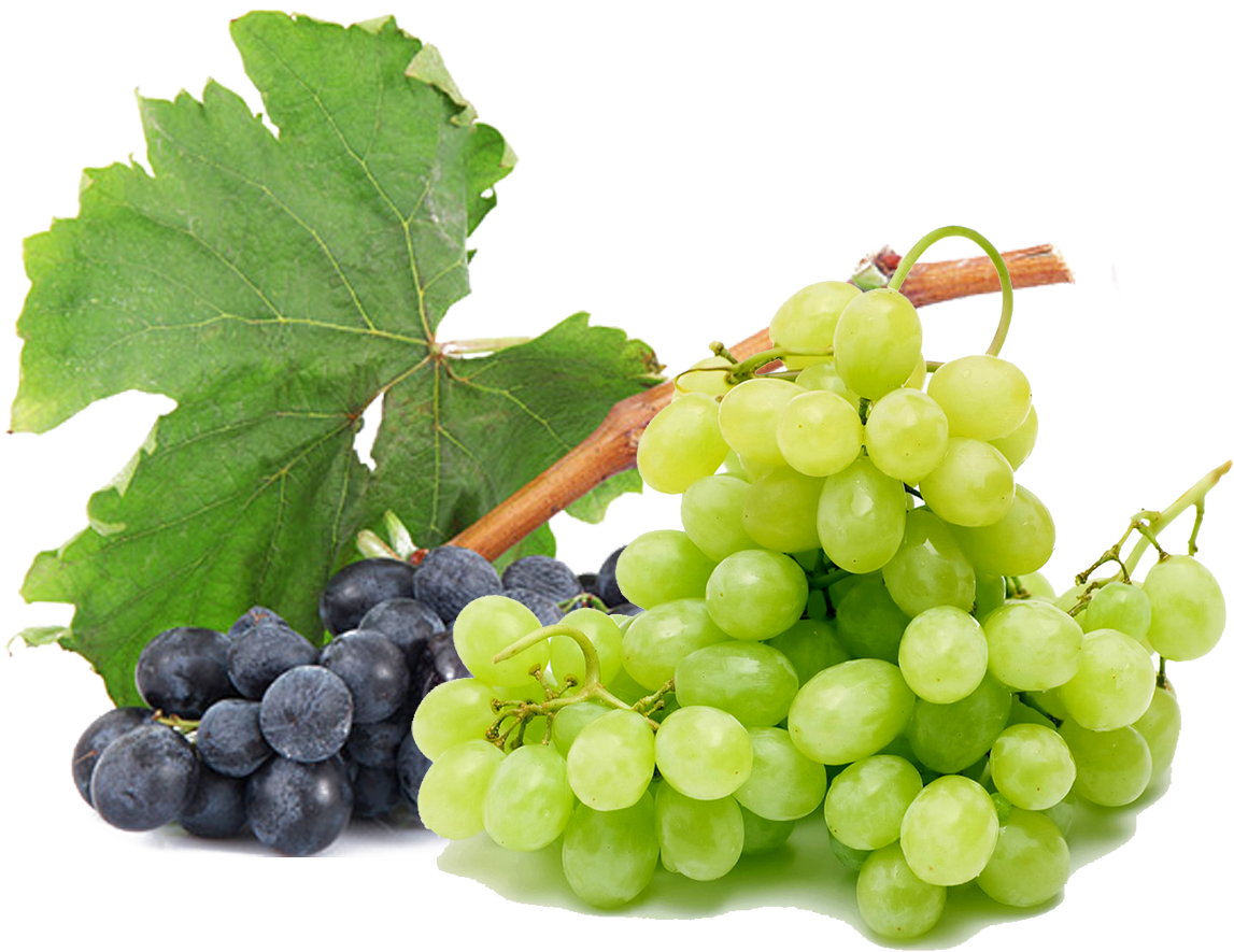 Grapes Free Png Image - Grape (1400x958), Png Download