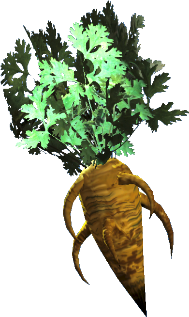 Fresh Carrot - Homarus (682x706), Png Download