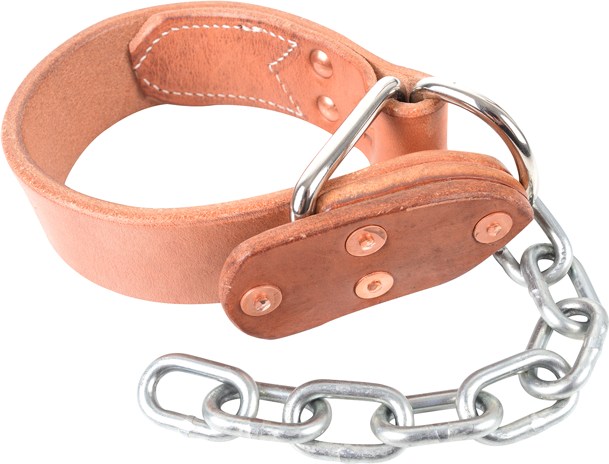 Buckle (1200x1200), Png Download