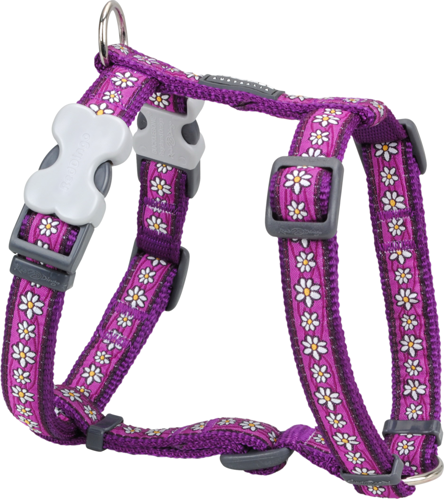 Orange Harness (890x1000), Png Download