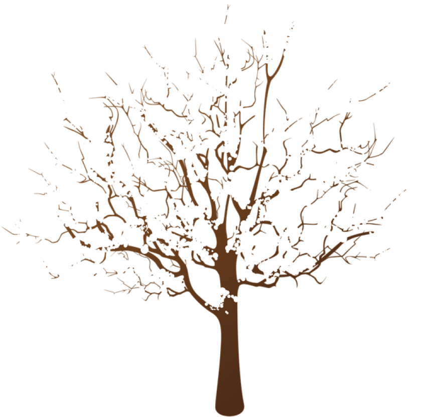 Free Png Winter Tree Transparent Png - Winter Tree Clipart Png (850x838), Png Download