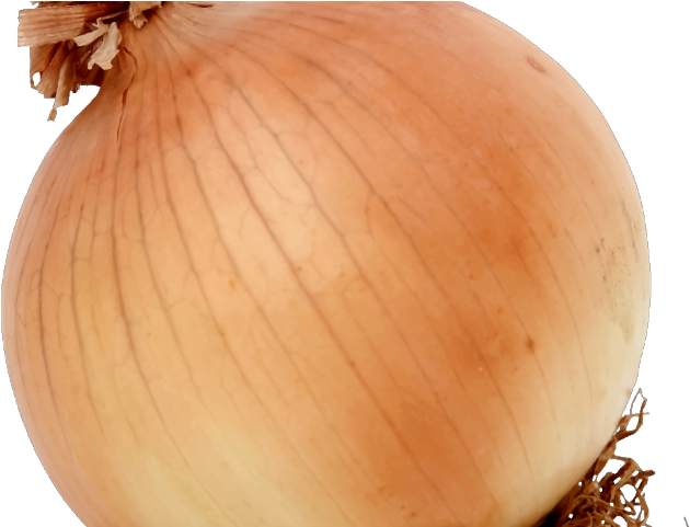 Onion Clipart Vegitables - Onion (640x480), Png Download