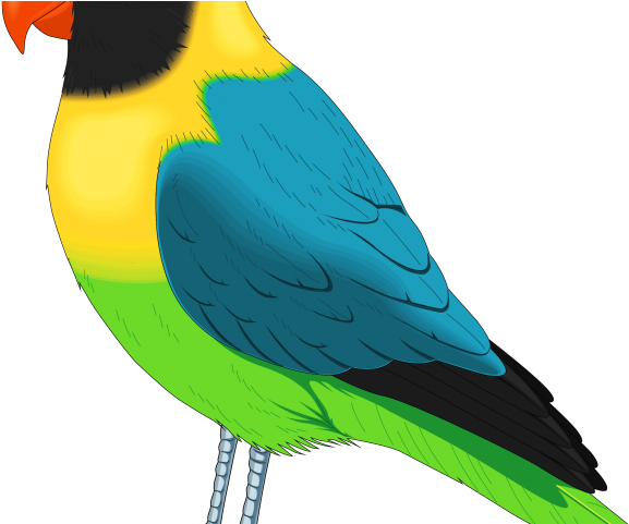 Indian Clipart Parrot - Birds Clip Art (640x480), Png Download