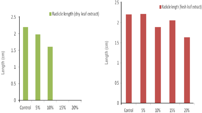Effect Of Fresh And Dry (b) Mangifera Indica Leaf Extracts - Number (850x439), Png Download