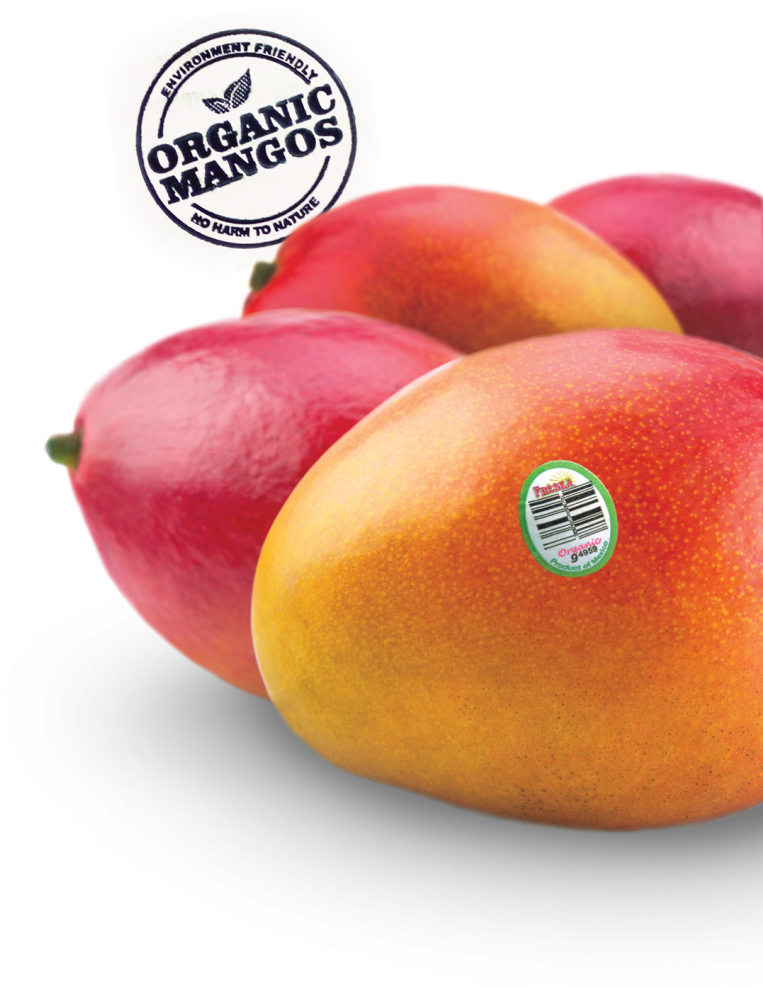 Up Close With Freska's Organic Mangos - Nectarines (850x993), Png Download