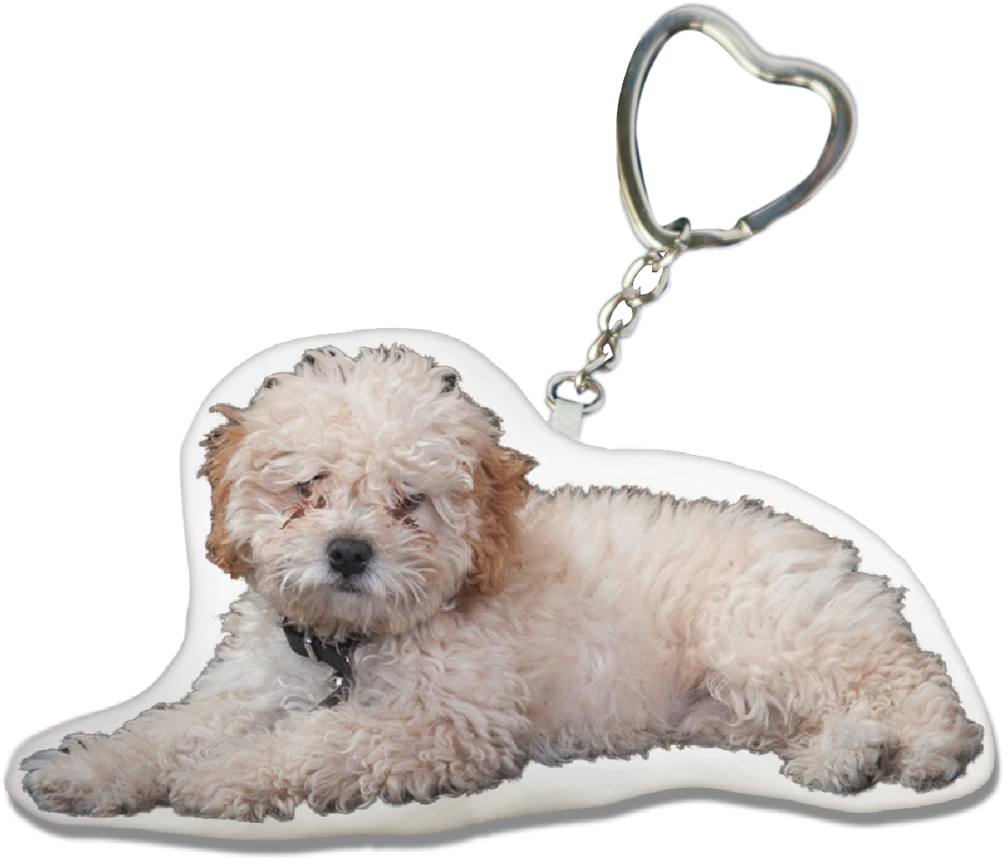 Poodle Key-chain - Glen Of Imaal Terrier (1240x1754), Png Download