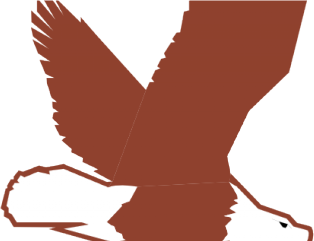Bald Free On Dumielauxepices Net - Eagle Transparent Cartoon (640x480), Png Download