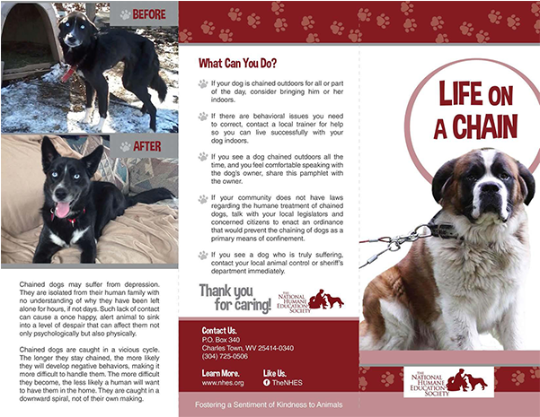 Life On A Chain - Dog's Life On A Chain (600x600), Png Download