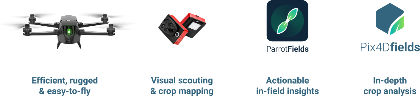 Pix4d Parrot Fields Blogpost - Graphic Design (1600x471), Png Download