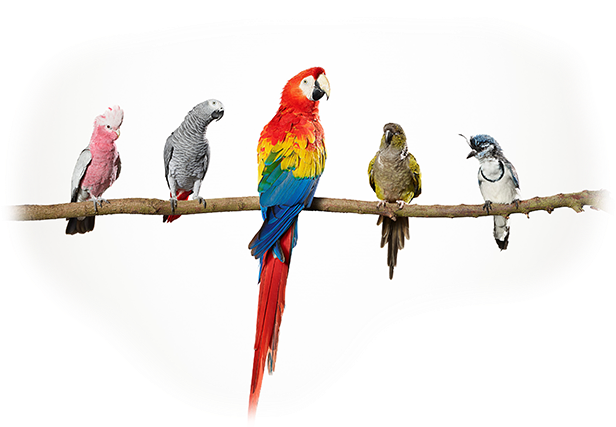 Glasurit Ratio Scan 12/6 (725x480), Png Download