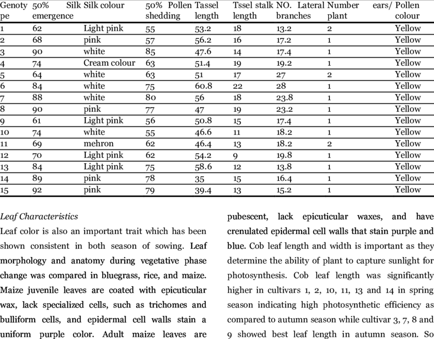Morphological Traits Of Sweet Corn In Spring Season - Zest Xt Rt 90ps (850x665), Png Download