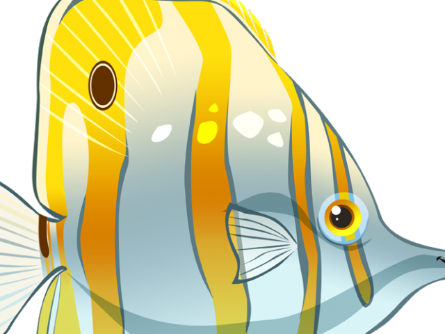 Butterflyfish Clipart Real Fish - Butterfly Fish Cartoon (640x480), Png Download