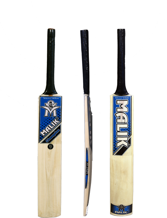 Cricket (600x900), Png Download