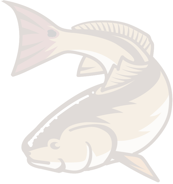 Bg About Row3 Fish - Pacific Sturgeon (667x710), Png Download