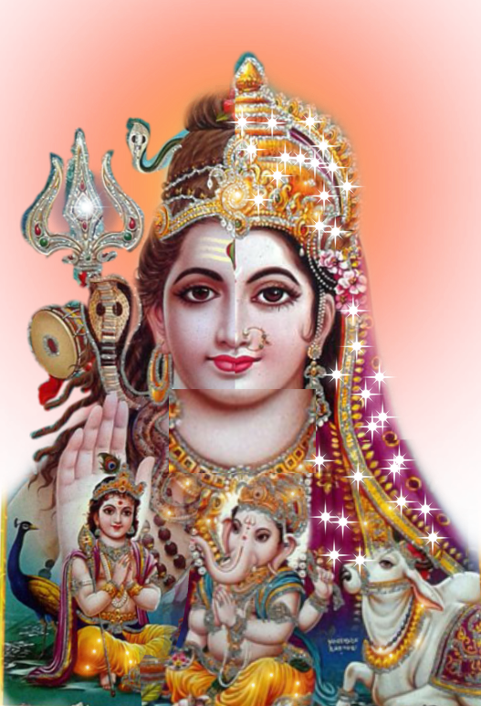 Pet Choice - Religion (527x773), Png Download