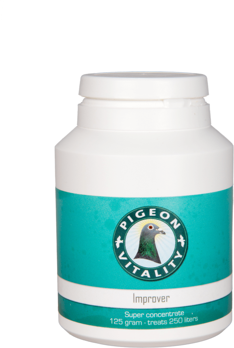 Try Out Improver™ - Pigeon Vitality (1006x1409), Png Download