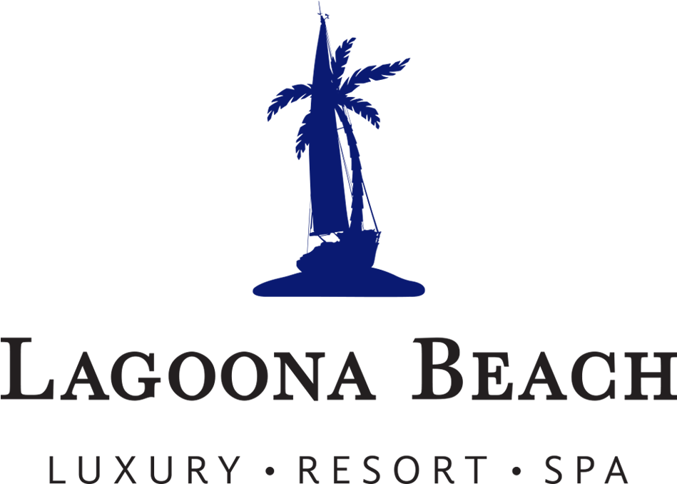 Offer Image - Palm Tree (1027x733), Png Download