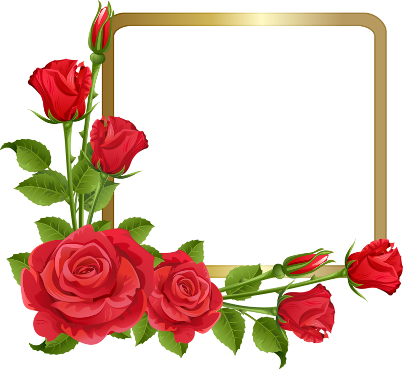 Фото, Автор Bzikolya На Яндекс - Rose Flower Border Design (800x733), Png Download