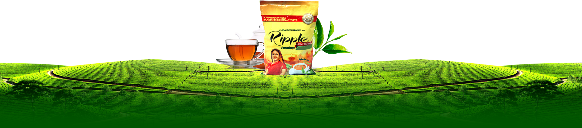 About Us Bg - Kannan Devan Tea Logo (1920x425), Png Download