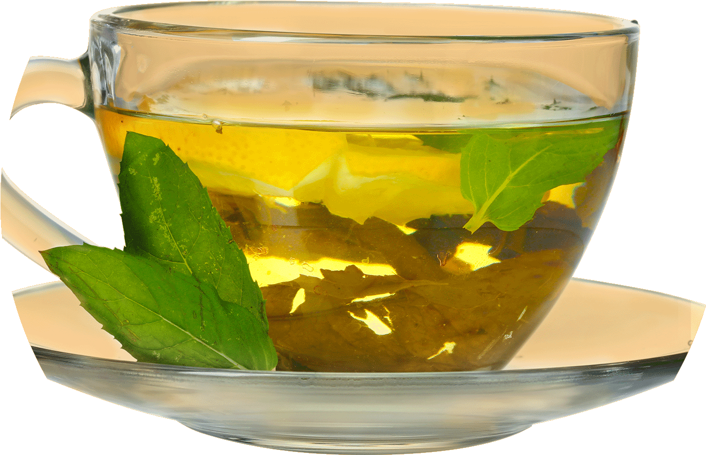 Brightening Green Tea Orange Blossom - Medicinal Properties Of Tea (1432x1432), Png Download