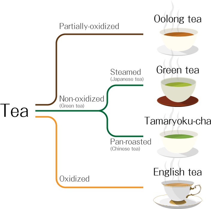 English Tea, [partially-oxidized] Oolong Tea, [non - Types Of Green Tea Japanese (768x768), Png Download