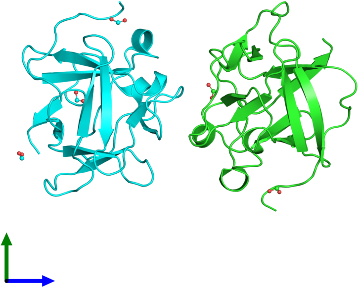 Pdb 3fj9 Coloured By Chain And Viewed From The Front - Illustration (800x800), Png Download