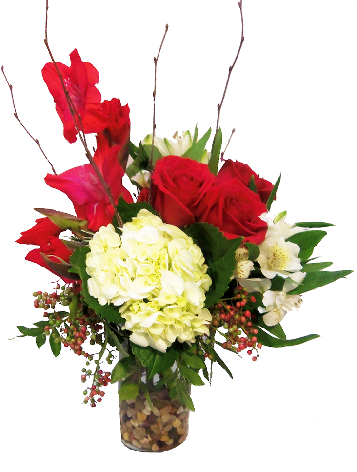 Indoor Plants Top View Png (732x967), Png Download