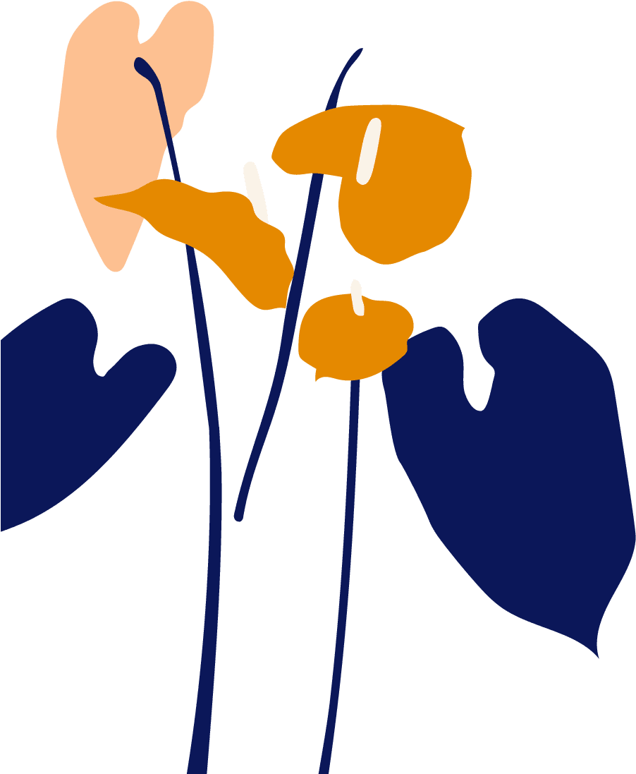 Botanical Name (923x1135), Png Download