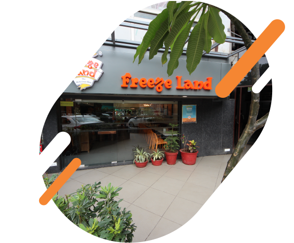 Christmas Tree (600x609), Png Download