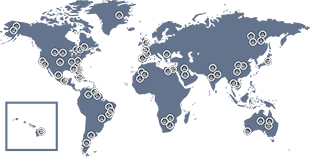 Worldwide Ultrasound Education - World Map Transparent Free (310x157), Png Download