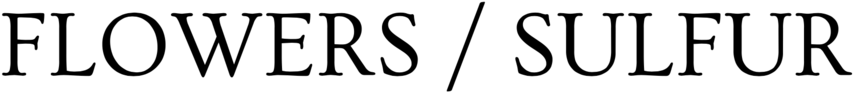 Flowers Logo Png (1000x252), Png Download