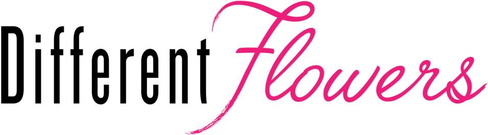 Df Logo- Black (1000x419), Png Download