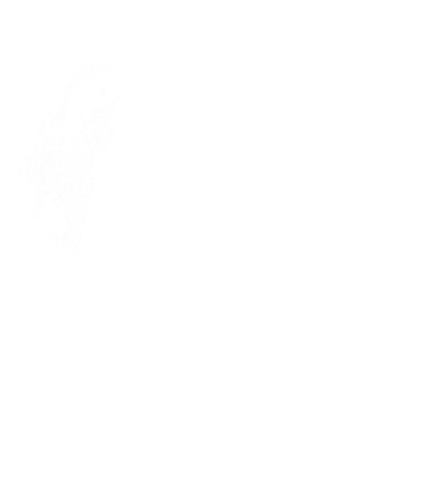 Darkness (1024x1024), Png Download