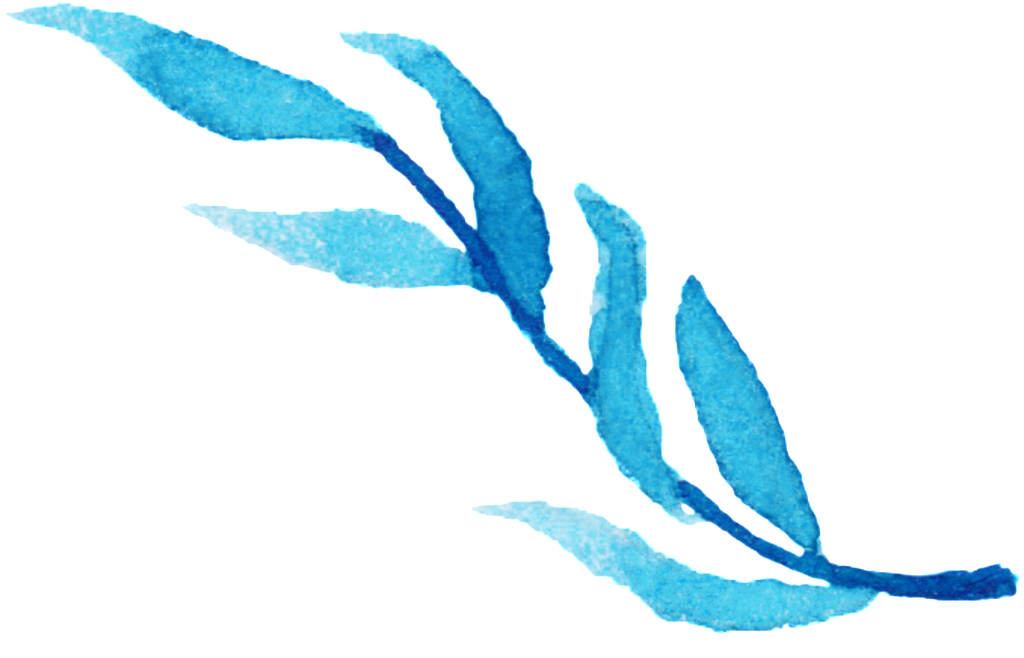 Willow Branches Decorative (1024x658), Png Download