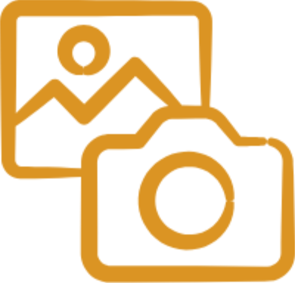 Wildlife Photography (600x575), Png Download