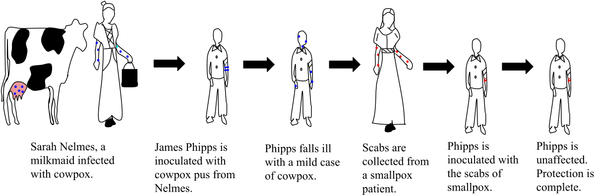 Edward Jenner- Smallpox - Experimento De Edward Jenner (1280x605), Png Download