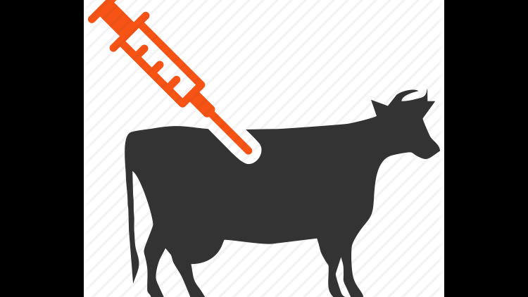 Download Meeting Local Demand For Animal Vaccine - Vaccination Poster In Animal PNG Image with No Background Download Meeting Local Demand For Animal Vaccine - Vaccination Poster In Animal PNG Image with No Background