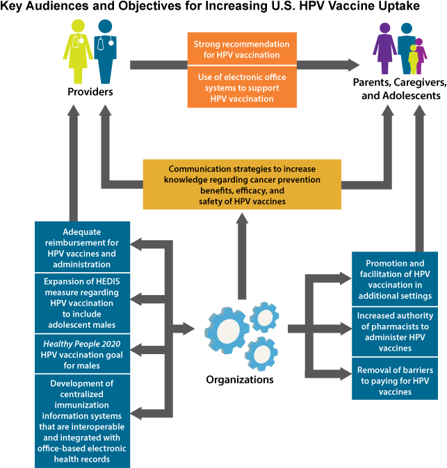 Key Audiences And Objectives For Increasing U - Healthy People 2020 Objectives Hpv (696x681), Png Download