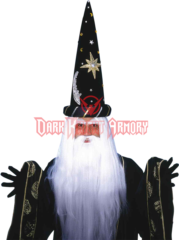 Download Zoom Wizard Beard Png Image With No Background Pngkey Com