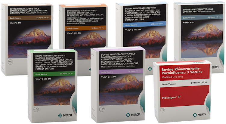 Vista® Vaccines - Tablet Computer (800x800), Png Download