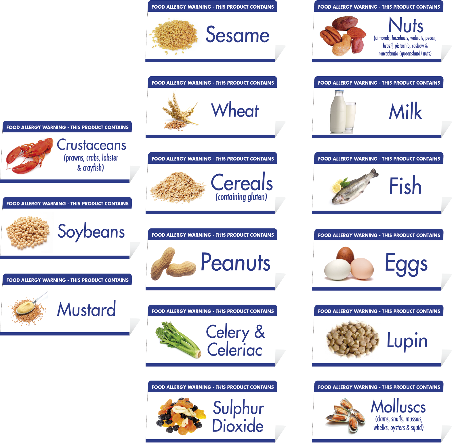 List contains. What is Lupin in food.