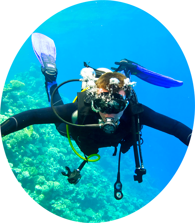 Prevnext1 2 3 - Template Plongée Wordpress (622x711), Png Download